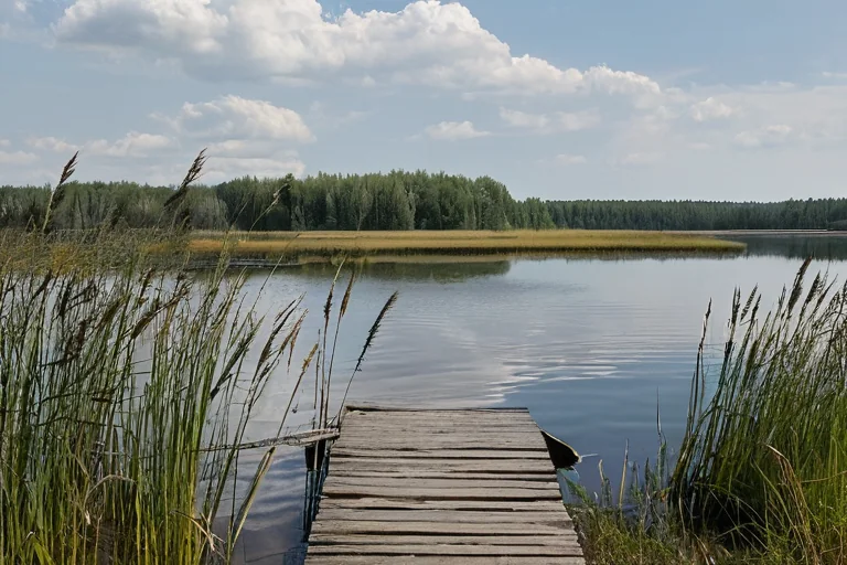 Летний день visual note